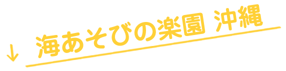 海遊びの楽園